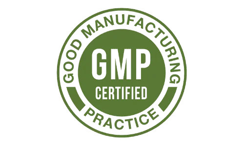 Certified GMP facility guaranteeing premium cognitive support formula